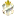 Kaka Hoki